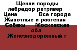 Щенки породы лабрадор ретривер › Цена ­ 8 000 - Все города Животные и растения » Собаки   . Московская обл.,Железнодорожный г.